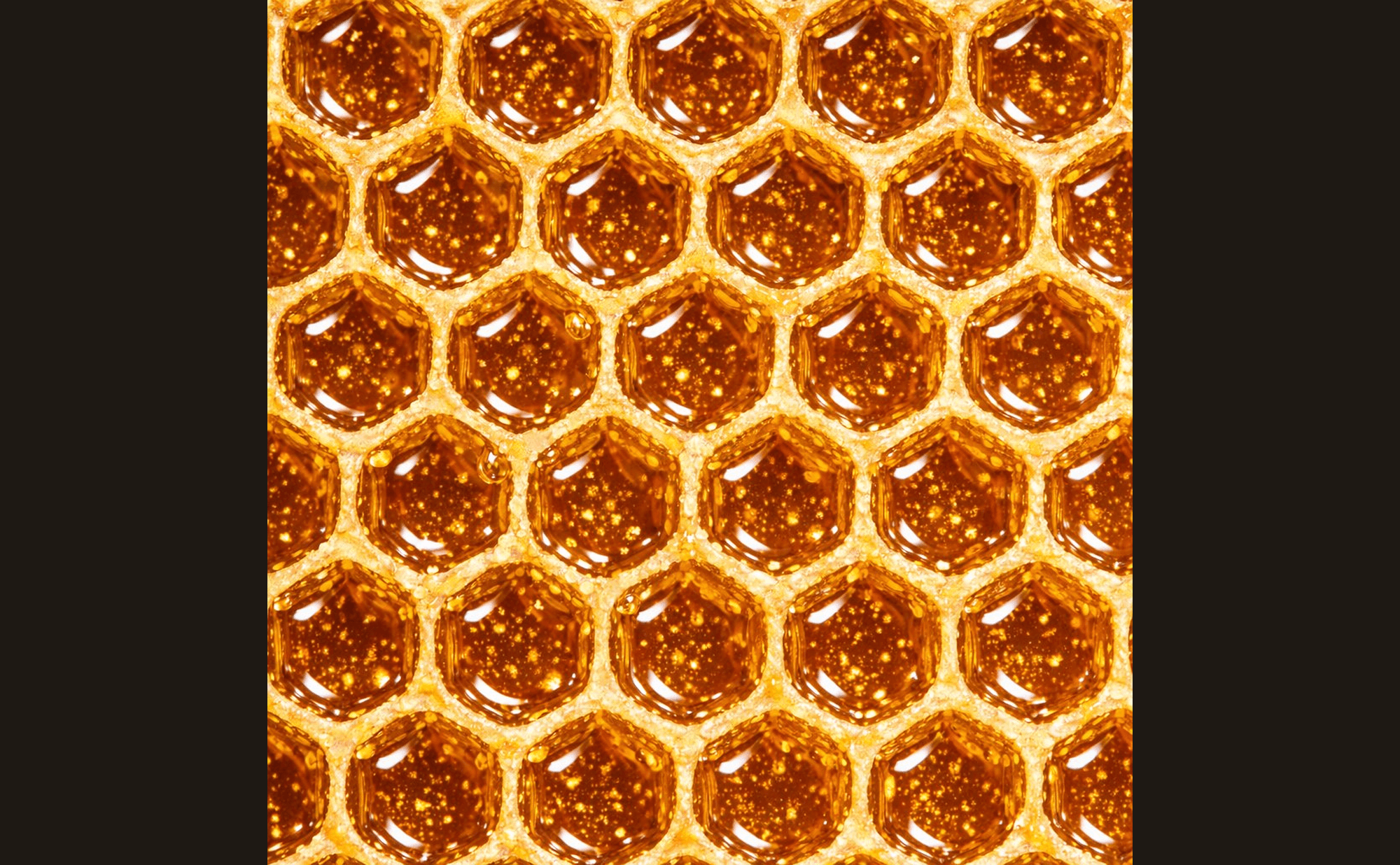 Honeycomb showing the regular hexagonal mesh structure with uniform cell spacing