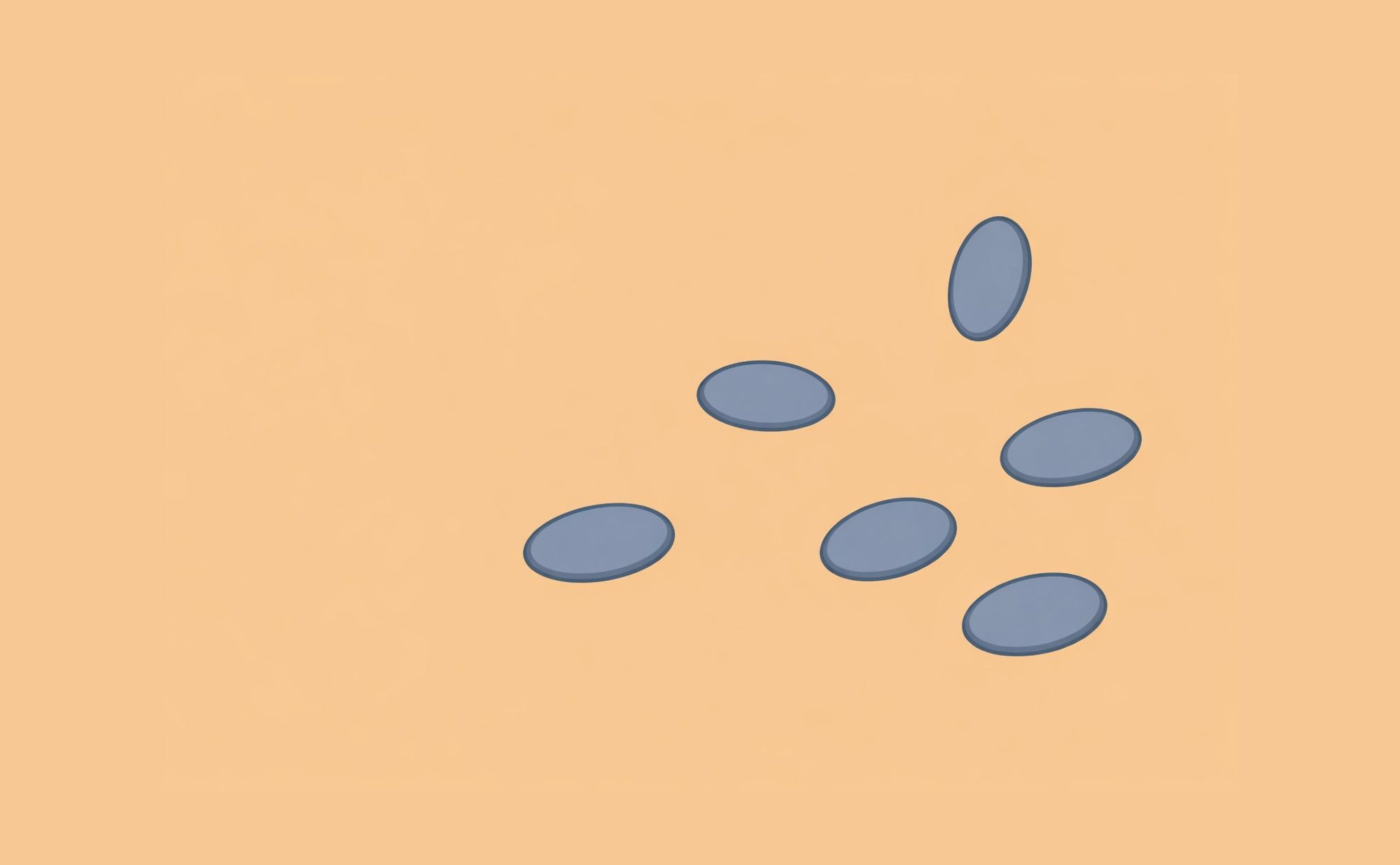 Dermoscopic illustration showing discrete egg-shaped grey-blue ovoid nests on a pale BCC background, clearly demarcated and individually countable