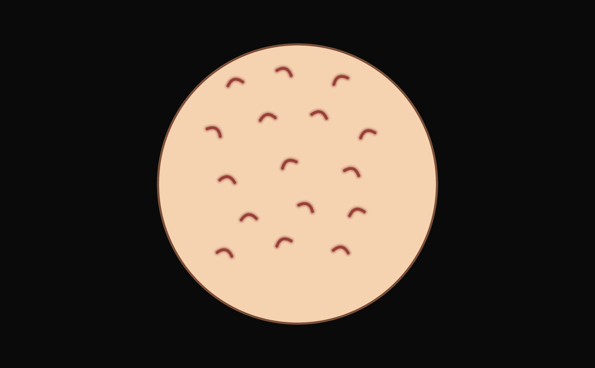Dermoscopic illustration showing short comma-shaped vessels of uniform size, evenly distributed and slightly out of focus indicating dermal depth