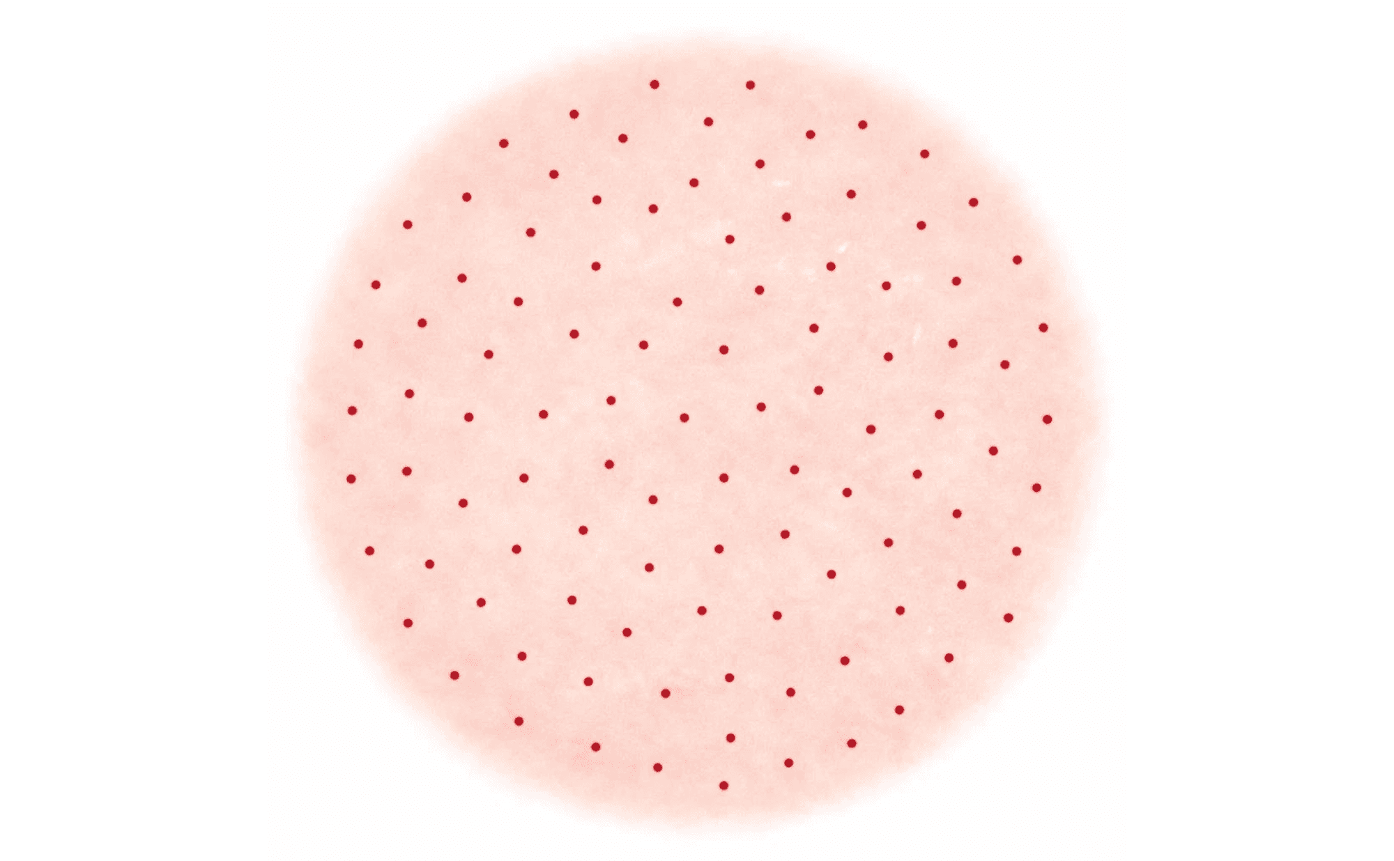 Dermoscopic illustration showing tiny red pinprick dots representing capillary loop tips viewed end-on from above