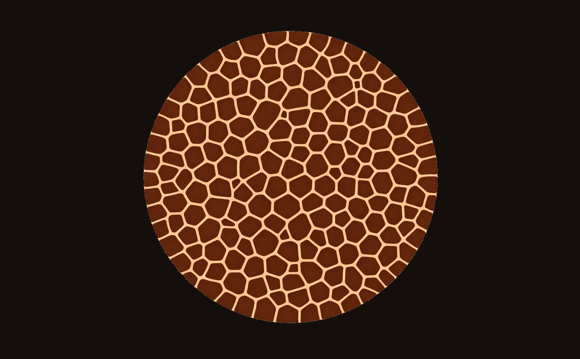Dermoscopic illustration showing white or pale lines forming a grid pattern with darker pigmented spaces between them — the inverse of typical pigment network