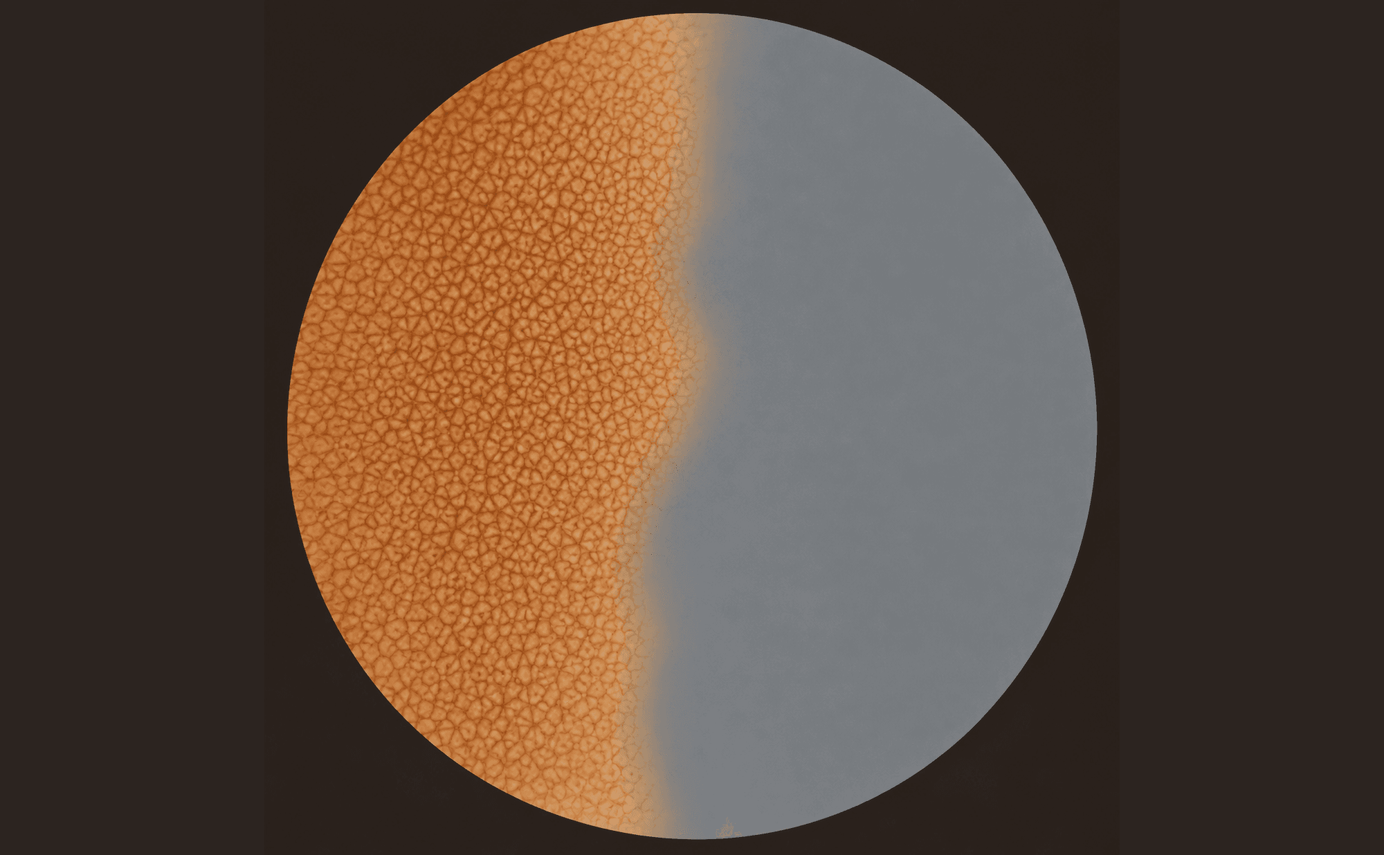 Dermoscopic illustration showing a lesion split between a finely networked zone and a completely flat, featureless blue-grey zone with no discrete structures