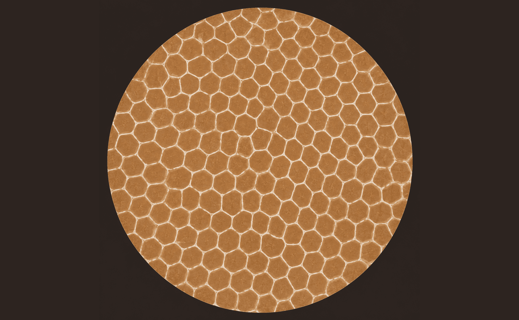 Dermoscopic illustration showing a fine, regular grid of white lines over a tan-brown background — the inverse of a typical brown pigment network
