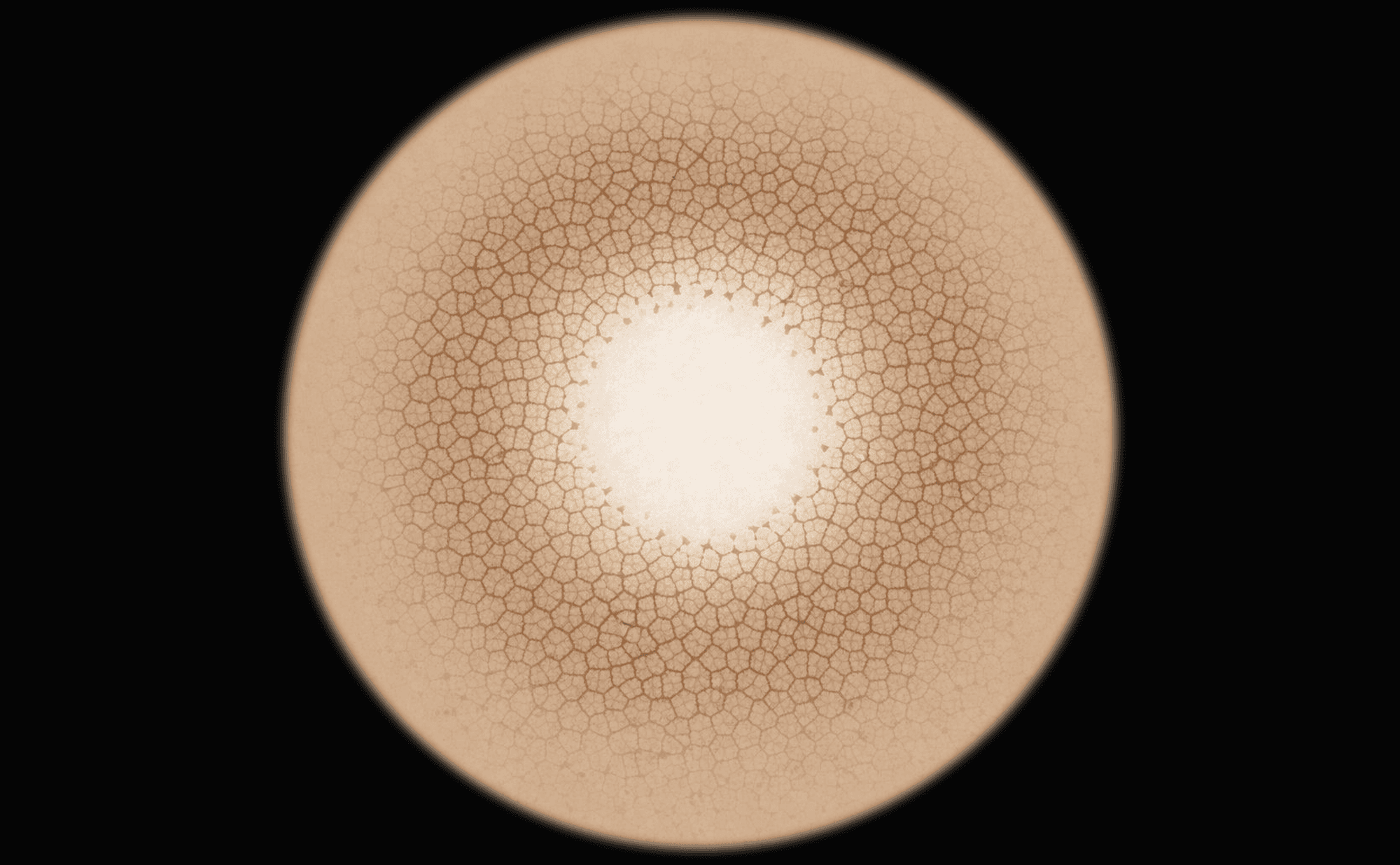 Dermoscopic illustration of classic dermatofibroma showing central white scar-like patch surrounded by delicate peripheral pigment network fading at edges